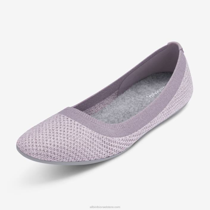 Allbirds ברייז עץ לנשיםV0VZ172 סגול מעורפל